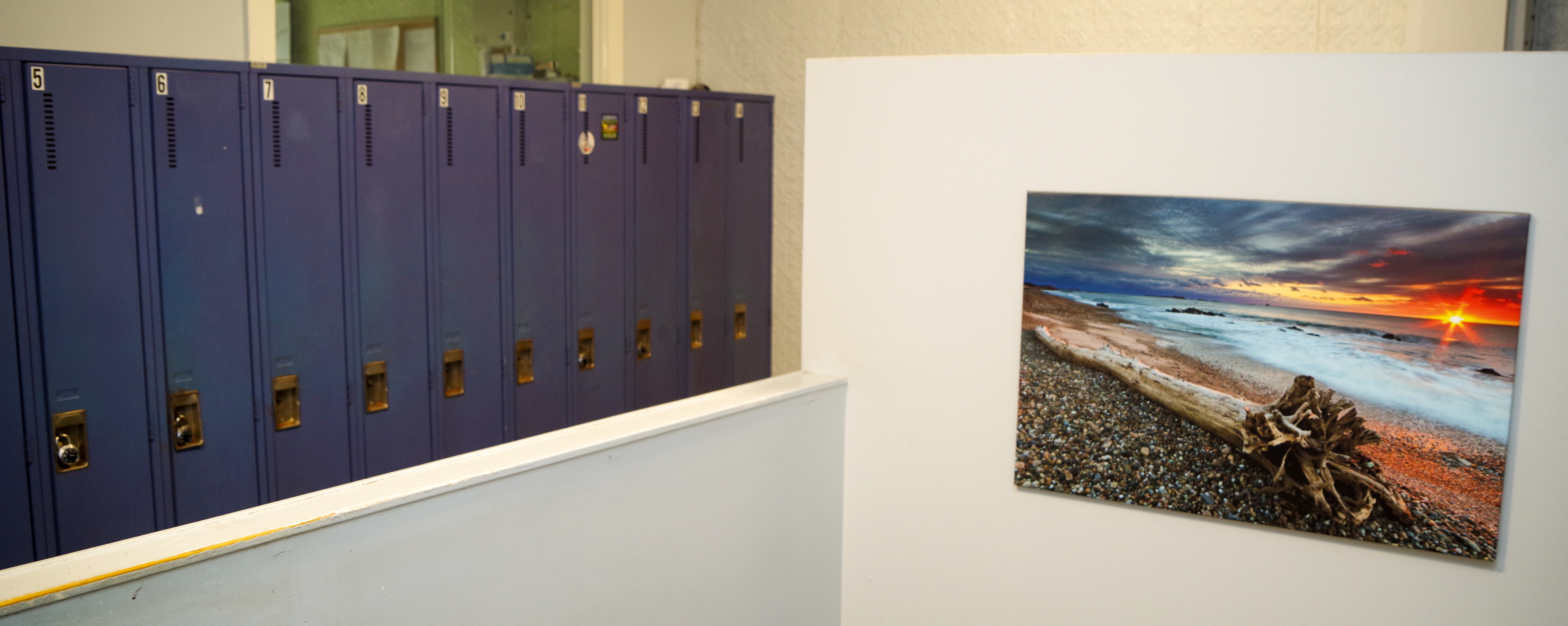 Blue locker room lockers behind white half wall, next to a poster of the ocean and pile of driftwood.